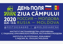 Как это было: День поля Россия-Молдова 2020